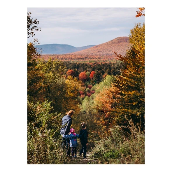 20"x30" Aluminium Print